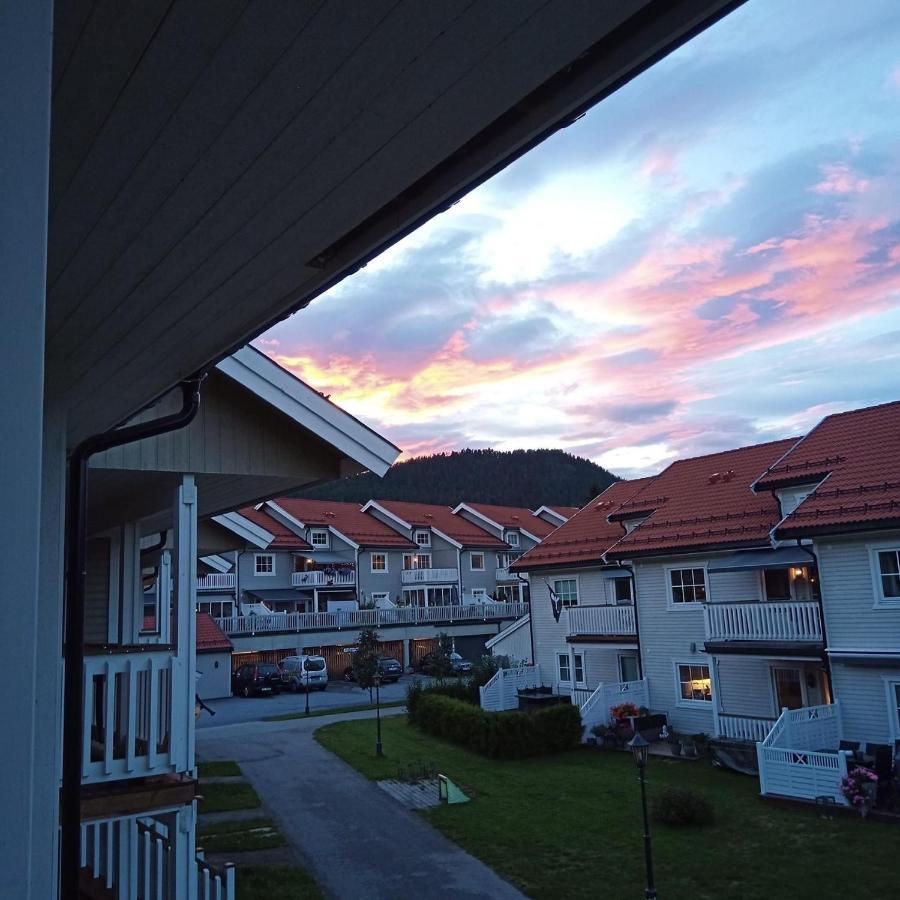 Sleep Well 1 Apartment Kongsberg Exterior photo